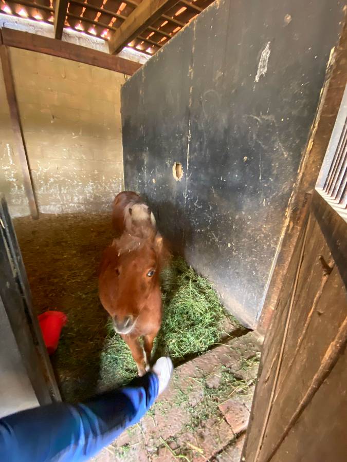 Establo, Hotel Hacienda El Salitre, eventos en Hotel Querétaro